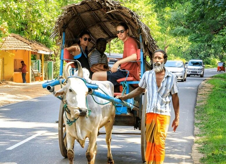 A man leading a bullock cart with a thatched roof on a road, with vehicles in the background. 3