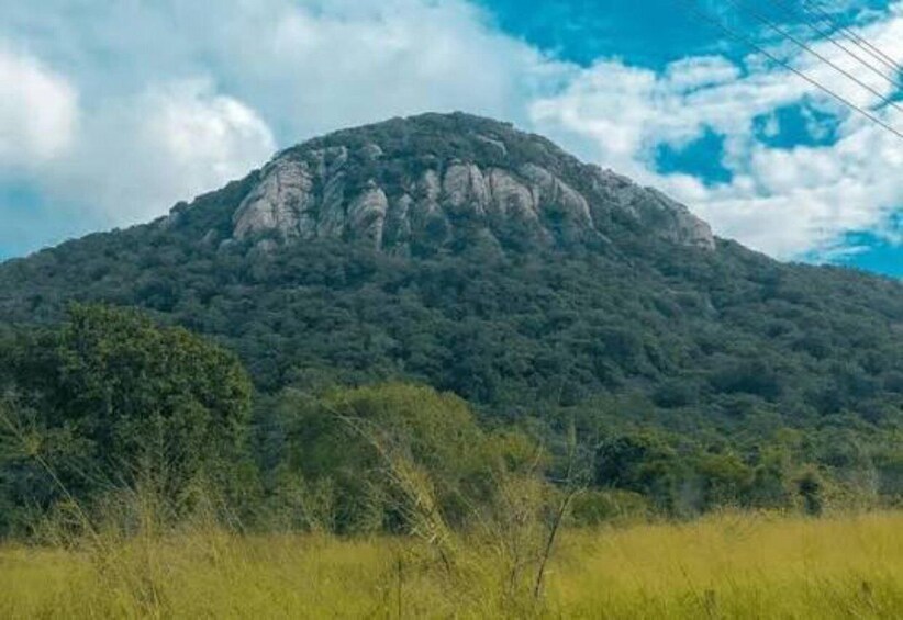 A mountain with dense forest and a clear sky. 5