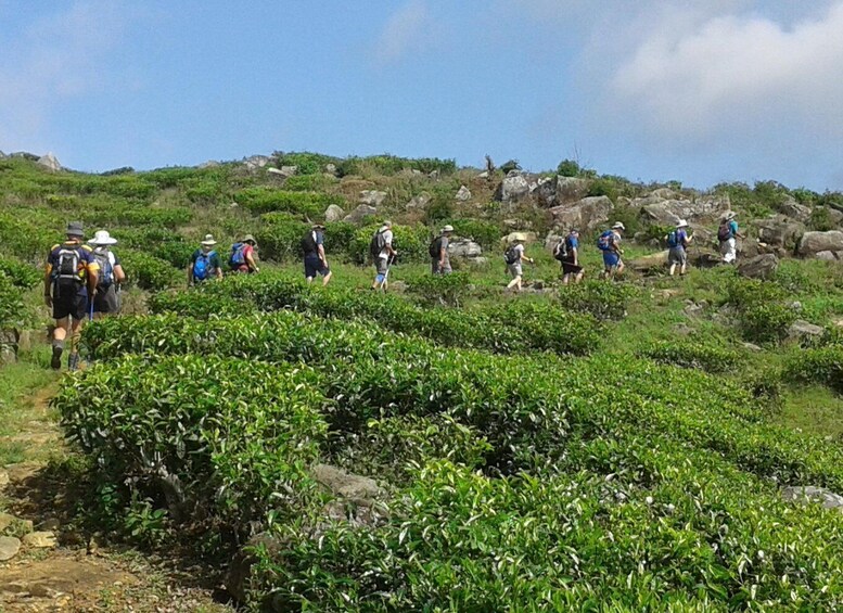 A group of hikers ascending a grassy hillside with rocky outcrops. 2
