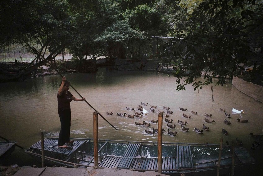 A person standing on a dock, surrounded by ducks in a calm river. 3