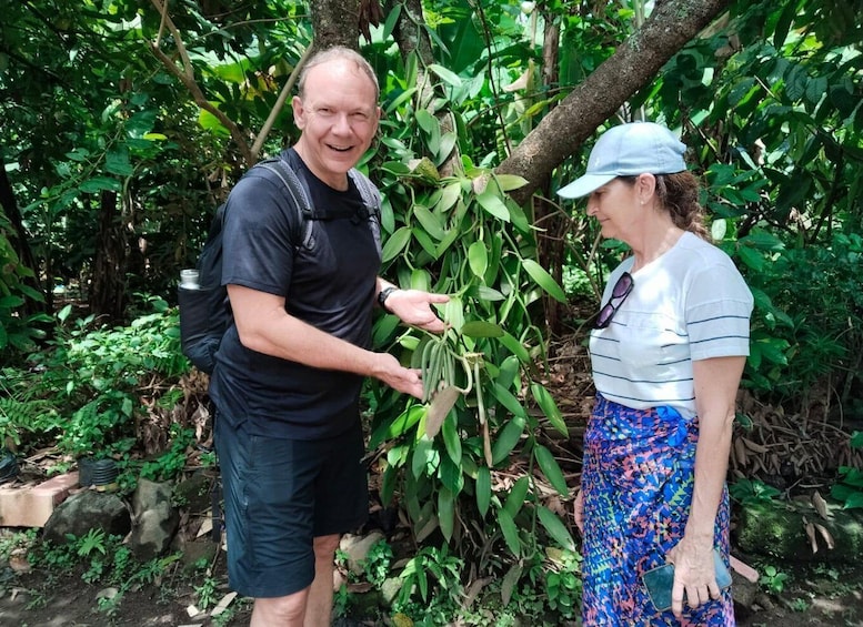 Picture 4 for Activity Gangga Village Walking Tour & Kertagangga Waterfall Lombok 2
