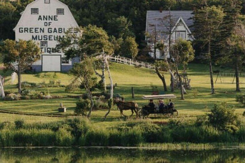 A horse-drawn carriage on a grassy field with a barn labeled 'Anne Green Gables Museum.' 5