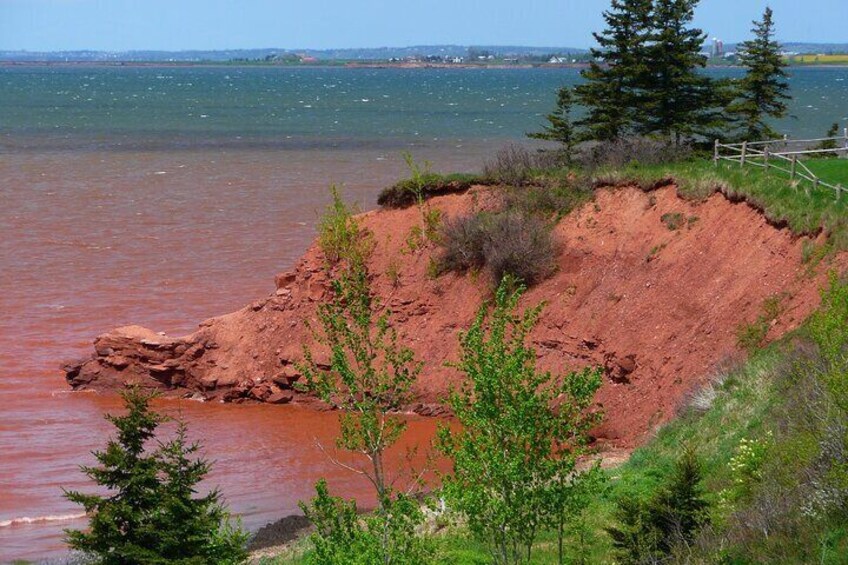 A coastal cliff with red soil, green vegetation, and a body of water in the background. 2
