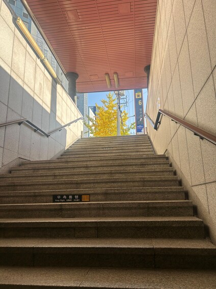 A set of stone stairs leading upwards, with handrails on both sides, and a red ceiling above. 5