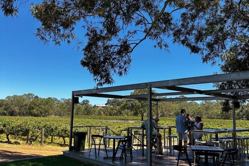 Private Swan Valley Family Fun Day Wildlife Chocolate and Winery 2