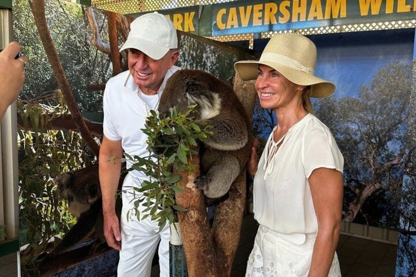 A person holding a koala, with a sign reading 'Caversham Wildlife Park' in the background. 3