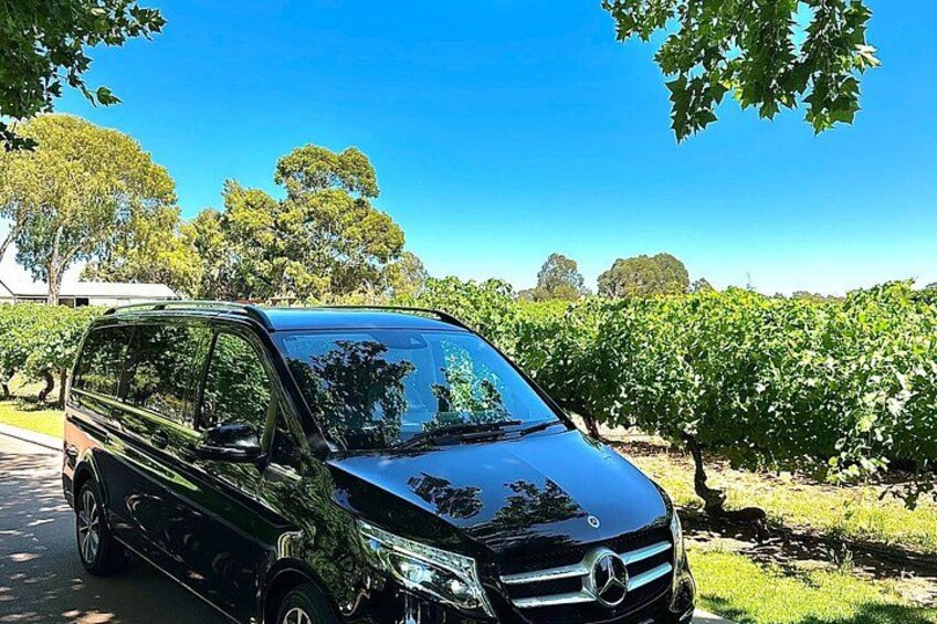 Private Swan Valley Family Fun Day Wildlife Chocolate and Winery 5