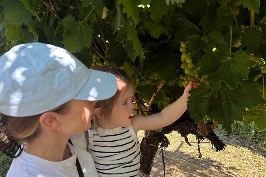 Private Swan Valley Family Fun Day Wildlife Chocolate and Winery 2
