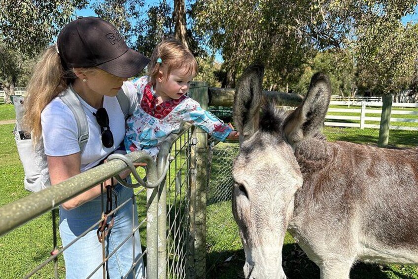Private Swan Valley Family Fun Day Wildlife Chocolate and Winery 1