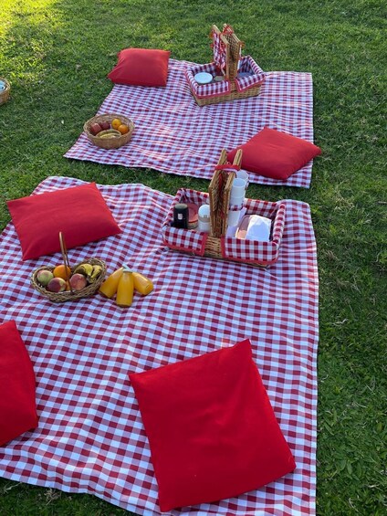 Picture 3 for Activity Porto Alegre: Rural Day Use, Farm Animal Tour & Gaúcho Snack 3