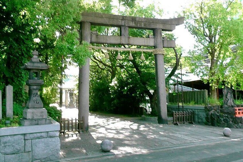 A traditional Japanese torii gate with stone lanterns and a stone path leading through a lush green area. 2