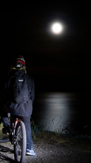 A person on a bicycle at night with a full moon in the background. 1