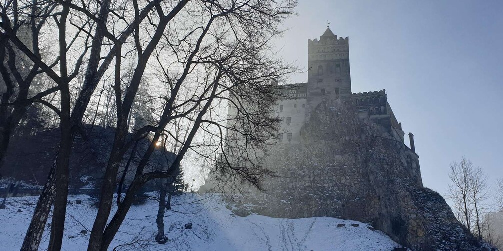 A snow-covered castle with a tower, surrounded by bare trees and a misty atmosphere. 2