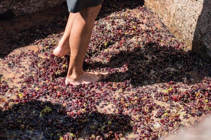 A person standing on a ground covered with scattered berries. 4