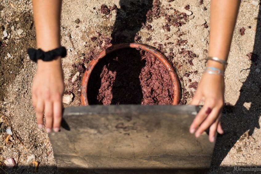 Hands holding a flat object over a round container filled with soil. 3