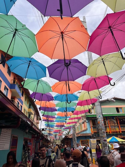 A street with colorful umbrellas suspended overhead. 5