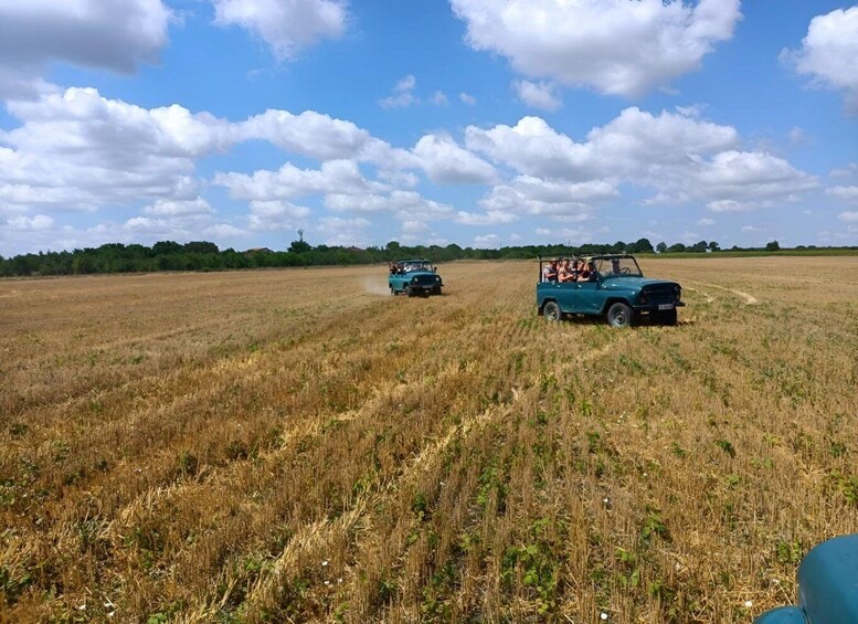 Two vintage cars driving through a dry, open field with a clear sky. 2