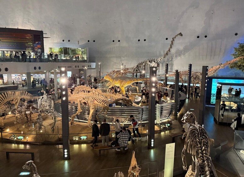 A museum interior with dinosaur skeletons on display. 1