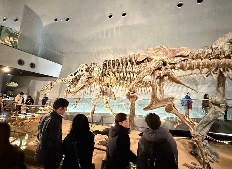 A large dinosaur skeleton exhibit in a museum with visitors observing. 2