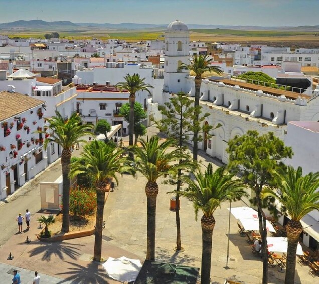 A white-walled town with palm trees and a tower. 5