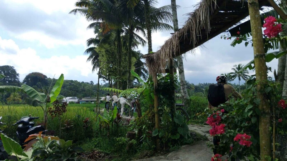 A rural landscape with a thatched-roof structure, lush greenery, and a clear sky. 4