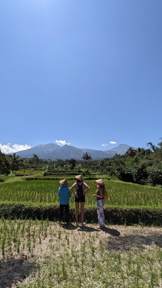 Three people standing in a rice field with a mountain range in the background. 1