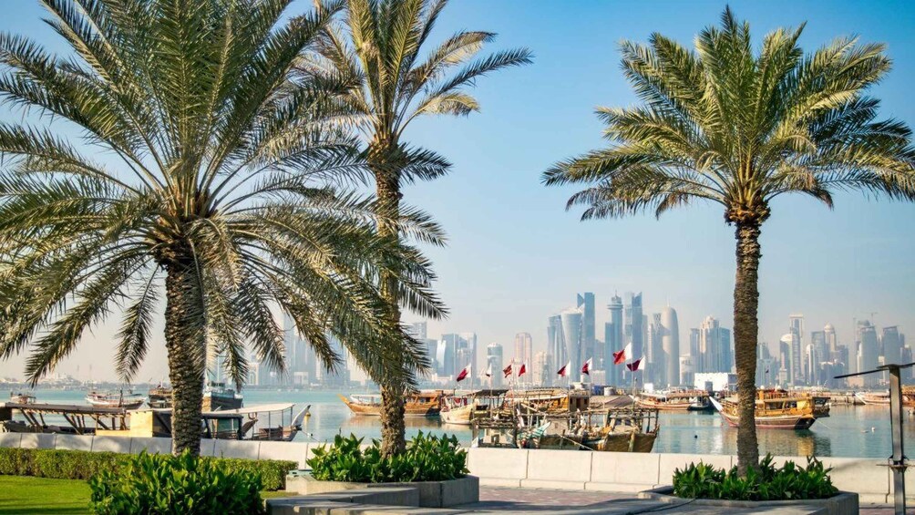 A marina with boats, palm trees, and a city skyline in the background. 5