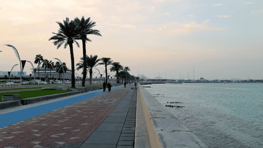 A waterfront promenade with palm trees, a blue bike lane, and a calm sea. 2
