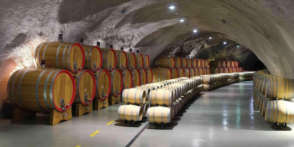 A series of wooden wine barrels arranged in rows inside a dimly lit, arched cellar. 4