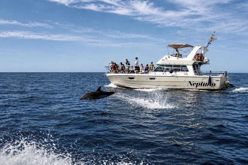 A boat named 'Neptune' with people on board and a dolphin jumping out of the water. 1