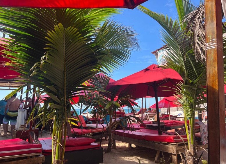 Picture 5 for Activity Cartagena de Indias: Beach Experience at Playa Tranquila, Barú 2