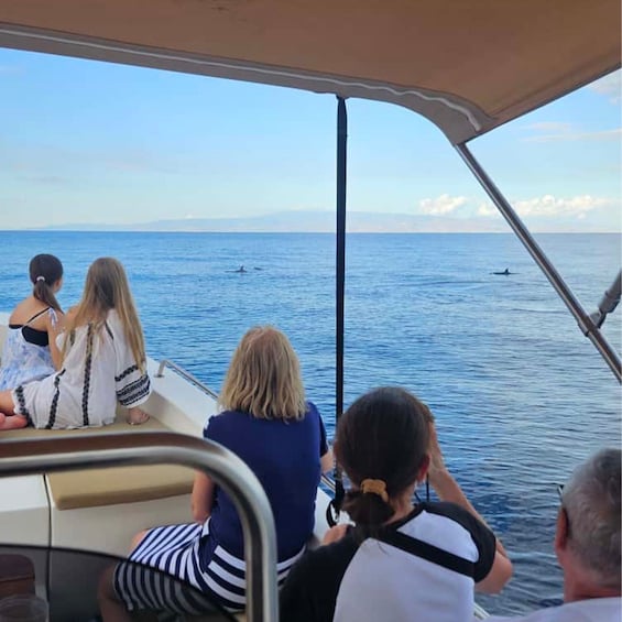 A boat with people observing the sea. 2