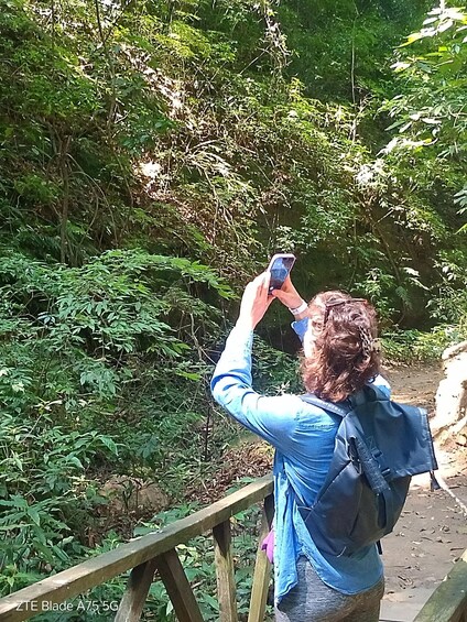 A person taking a photo with a smartphone in a wooded area. 4