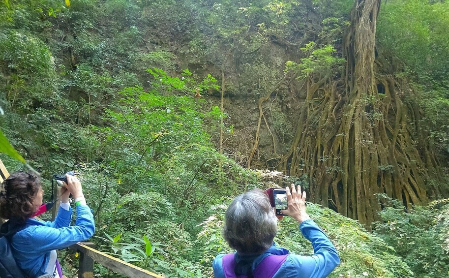 Two people taking photographs of a forested area with a prominent tree trunk. 5