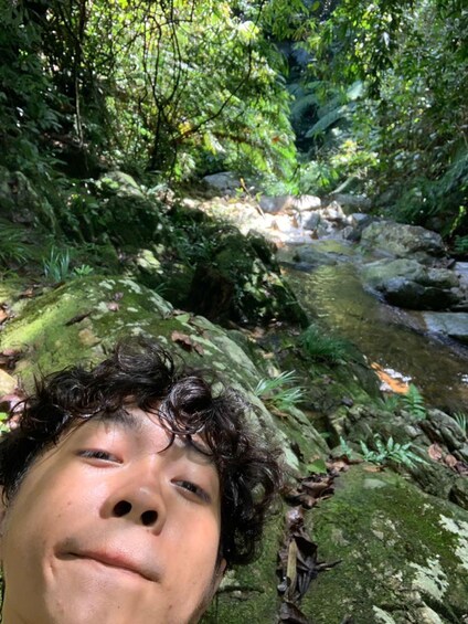 A person in a forest with a stream and moss-covered rocks. 5