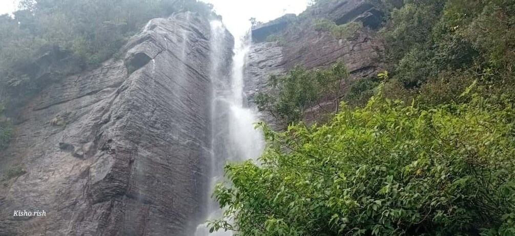 A waterfall cascading down a rocky cliff surrounded by lush greenery. 5