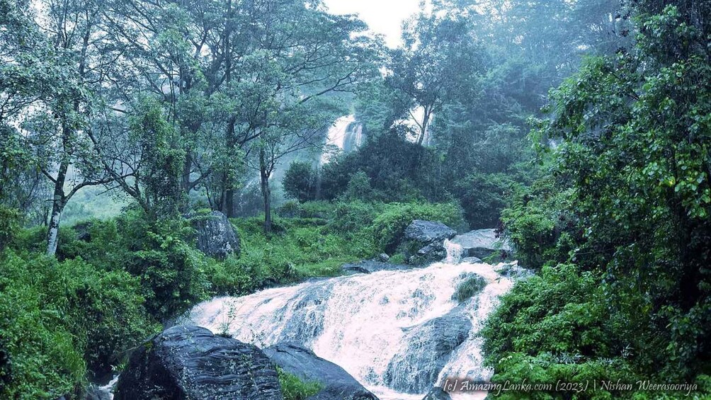 A waterfall cascading over rocks in a lush forest. 3