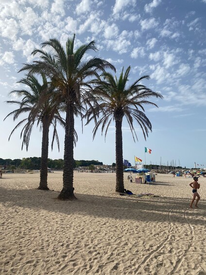 A sandy beach with palm trees and a clear sky. 2