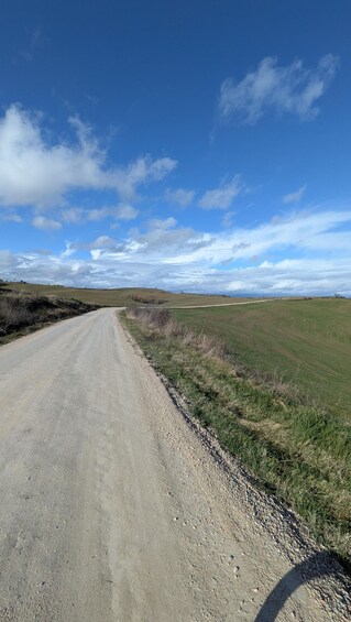 A rural dirt road flanked by grassy fields under a partly cloudy sky. 4
