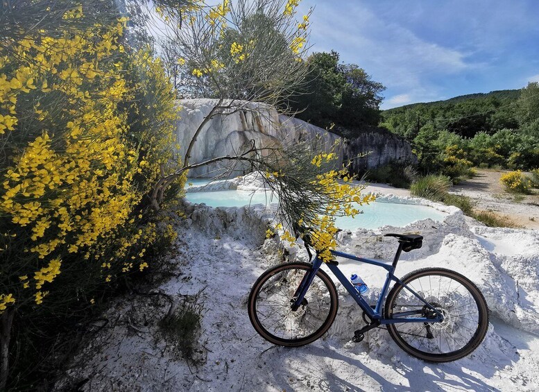 A bicycle parked on a rocky terrain with yellow flowers and a clear blue pool in the background. 1