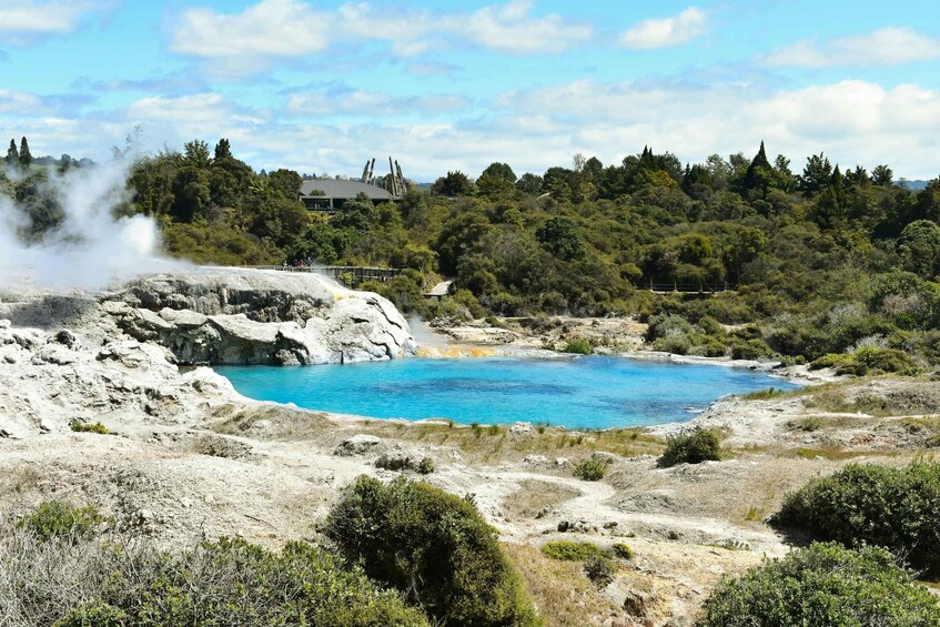 A geothermal area with a blue pool, steam vents, and a forested hillside. 3