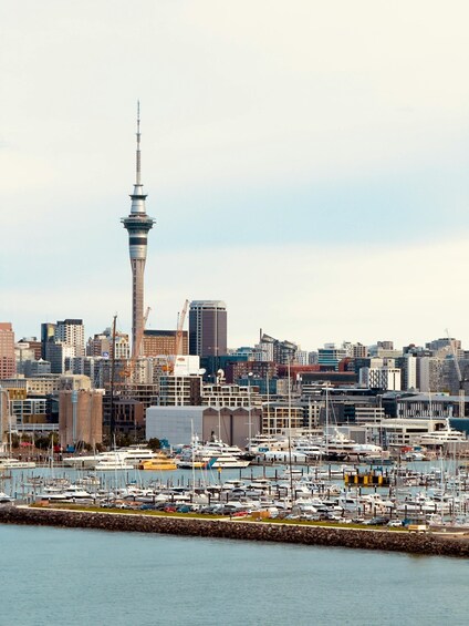 A marina with numerous boats, a city skyline, and a prominent tower in the background. 2