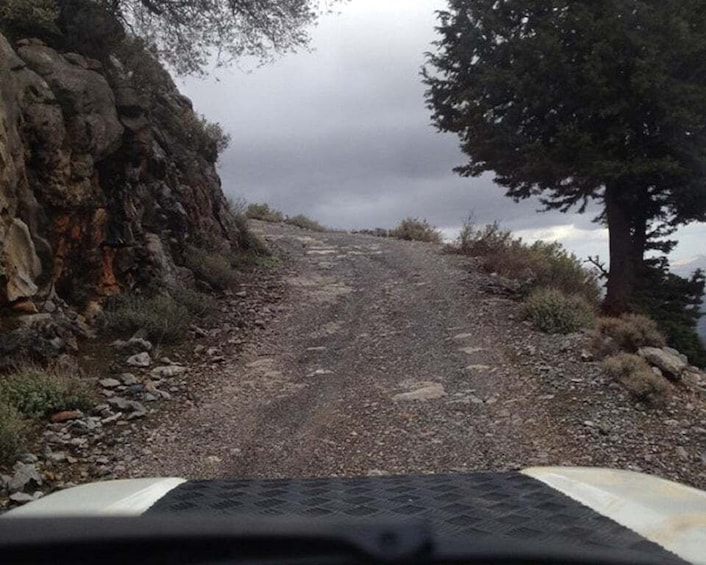 A gravel path flanked by rocky terrain and trees, leading towards a cloudy sky. 4
