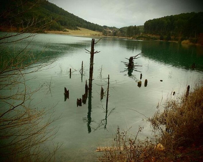 A calm lake with dead trees in the water and a forested hillside in the background. 5