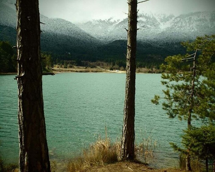 A lake with mountains in the background and two trees in the foreground. 2