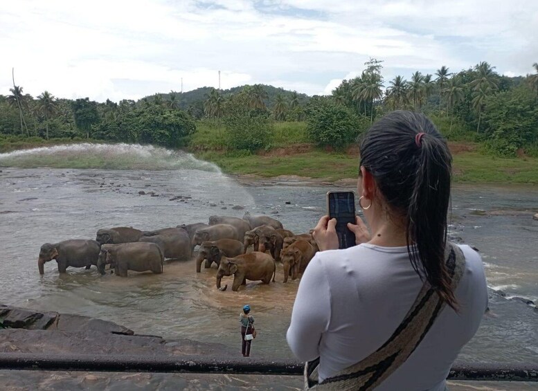 Una persona fotografiando elefantes en un río. 1