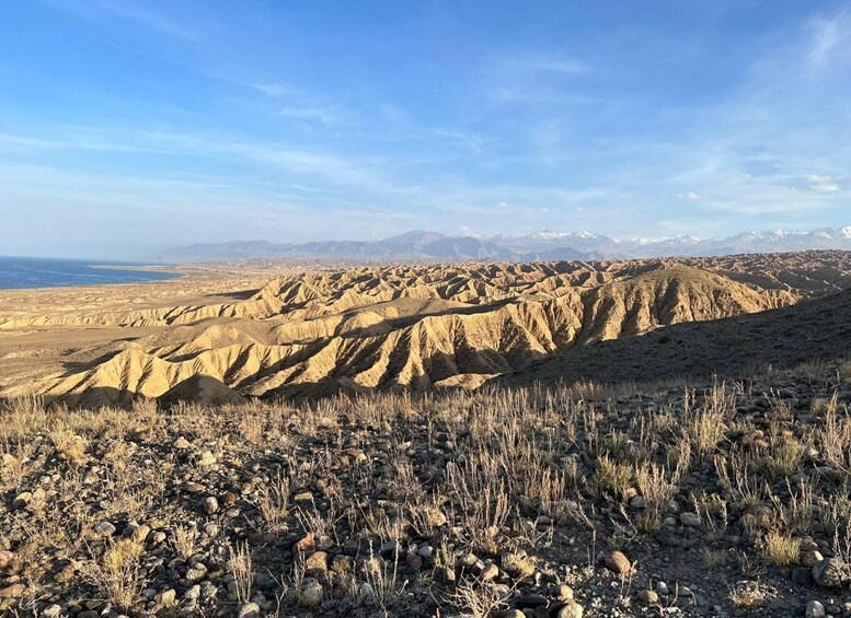A desert landscape with rocky terrain and distant mountains. 1