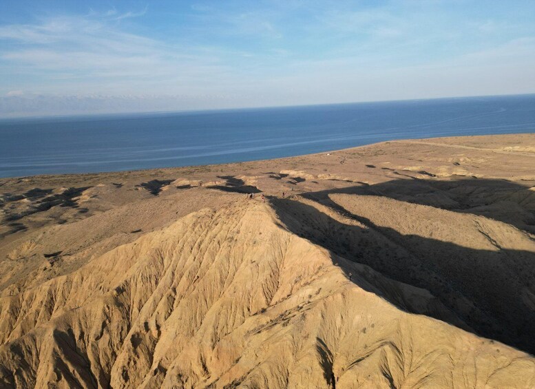 A desert landscape with undulating terrain and a distant view of the ocean. 3