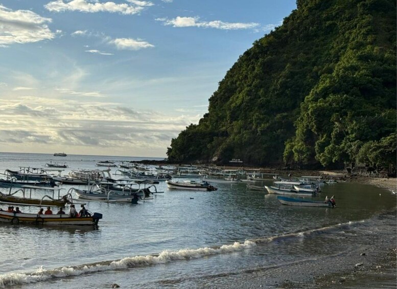 A coastal scene with numerous boats docked along the shore, a sandy beach, and a lush green hill in the background. 3