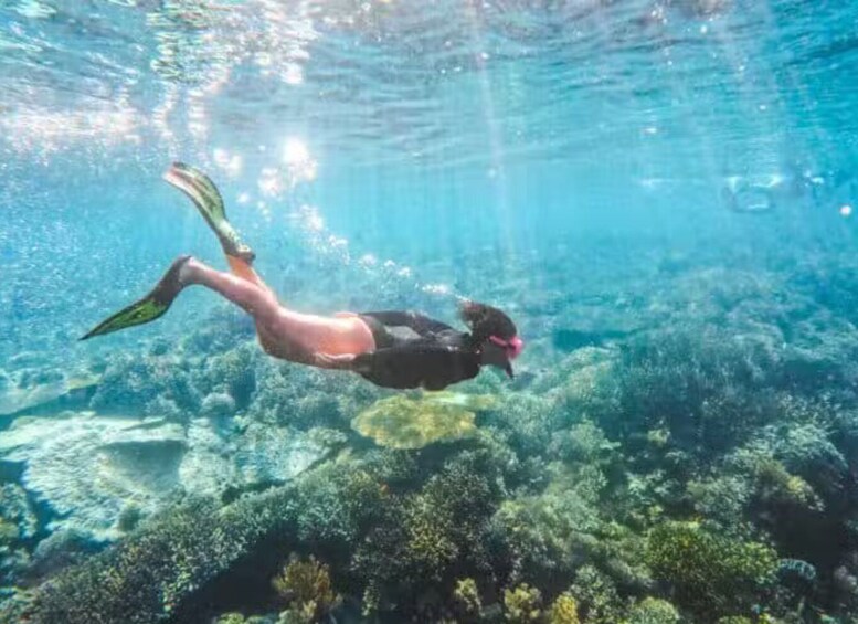 A person snorkeling underwater with fins and a snorkel. 4
